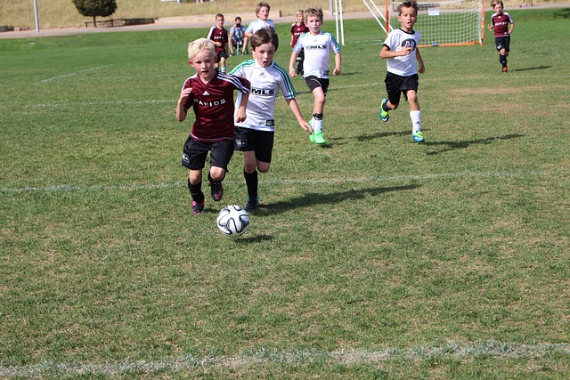 个人职业生 个人职业生