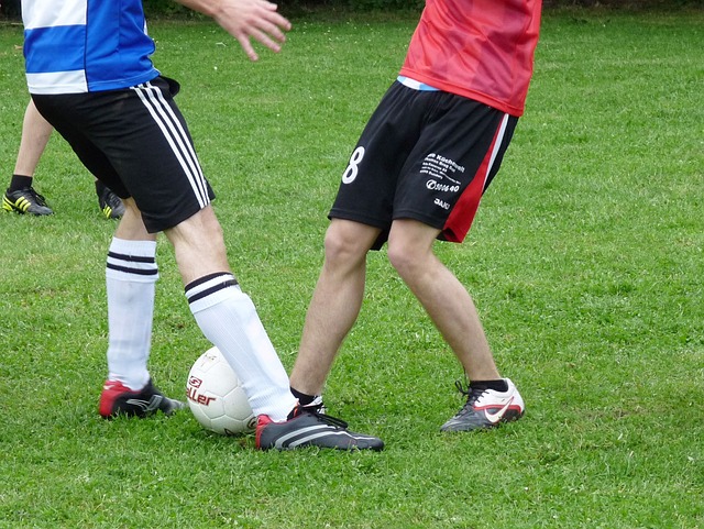 而这一背景 而这一背景