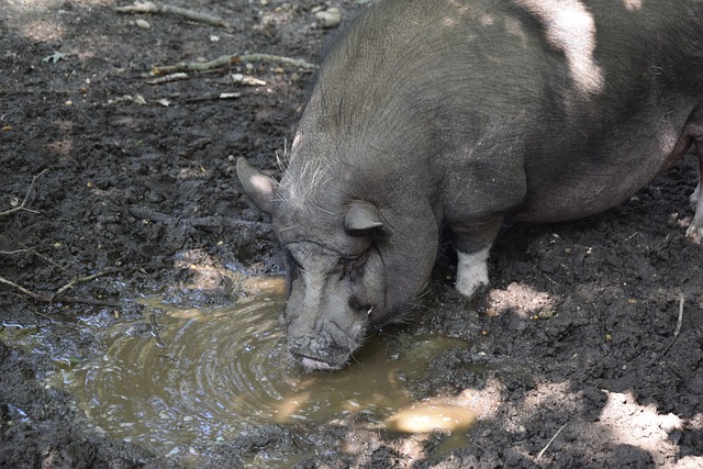 他不仅展现 他不仅展现